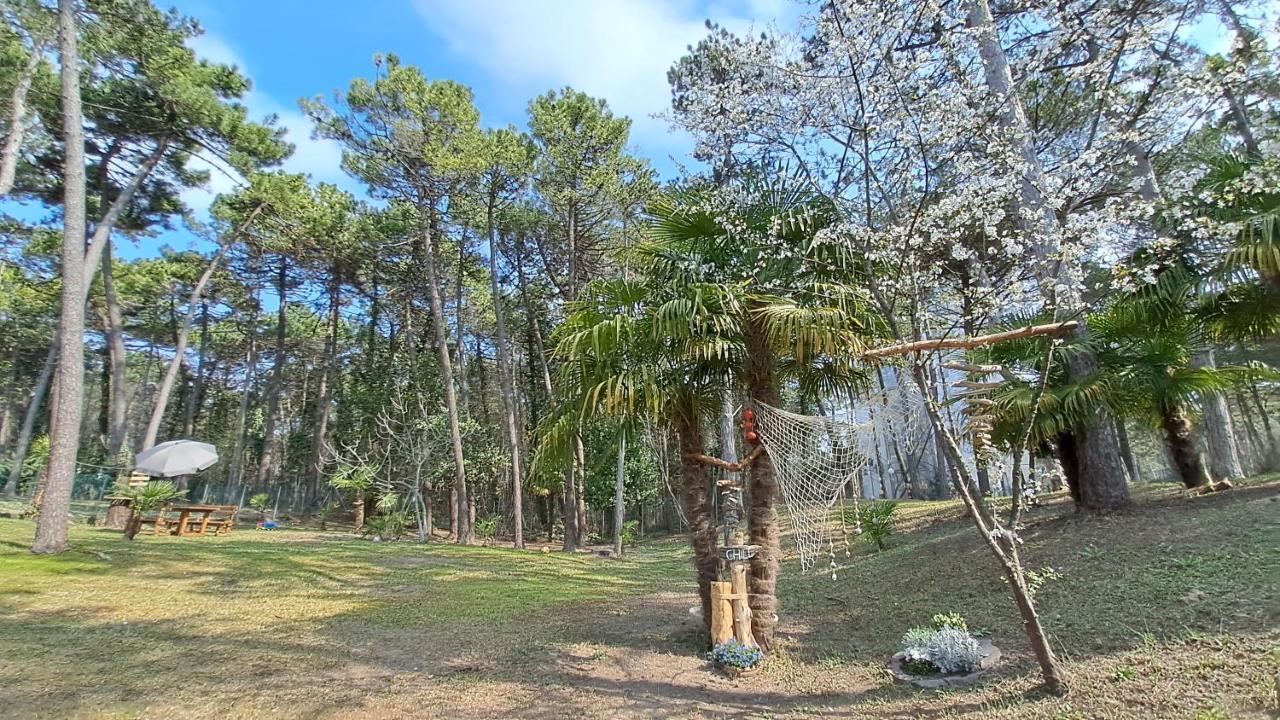 Villa Barbara Fra I Pini Lignano Sabbiadoro Luaran gambar